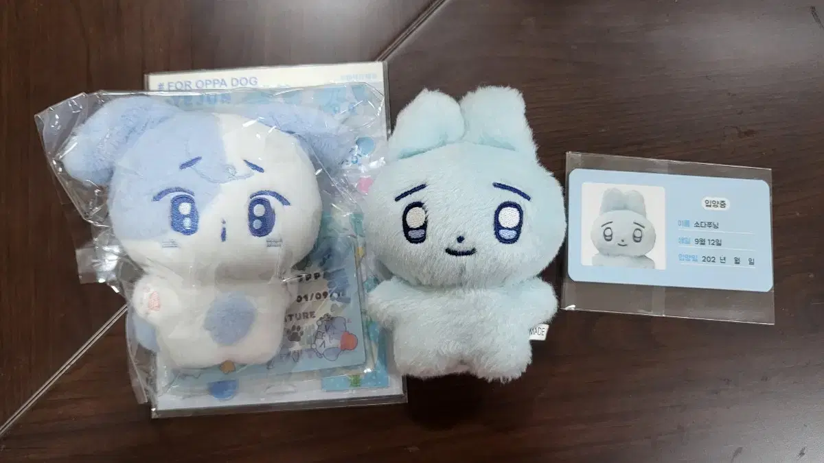 PLAVE イェジュン YEJUN ぬいぐるみ 짱레이브 짱 예준 PLAVE | 플레이브 PLAVE unofficial doll Jjanglayve Yejun